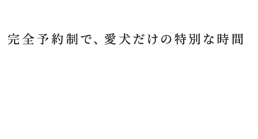 完全予約制で、愛犬だけの特別な時間