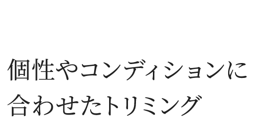 個性やコンディションに合わせたトリミング